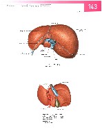 Sobotta  Atlas of Human Anatomy  Trunk, Viscera,Lower Limb Volume2 2006, page 150